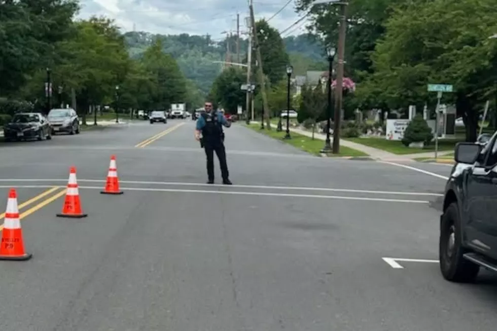Dunellen police officer disguises himself as a shrub to help catch distracted motorists (Dunellen PD via Facebook)