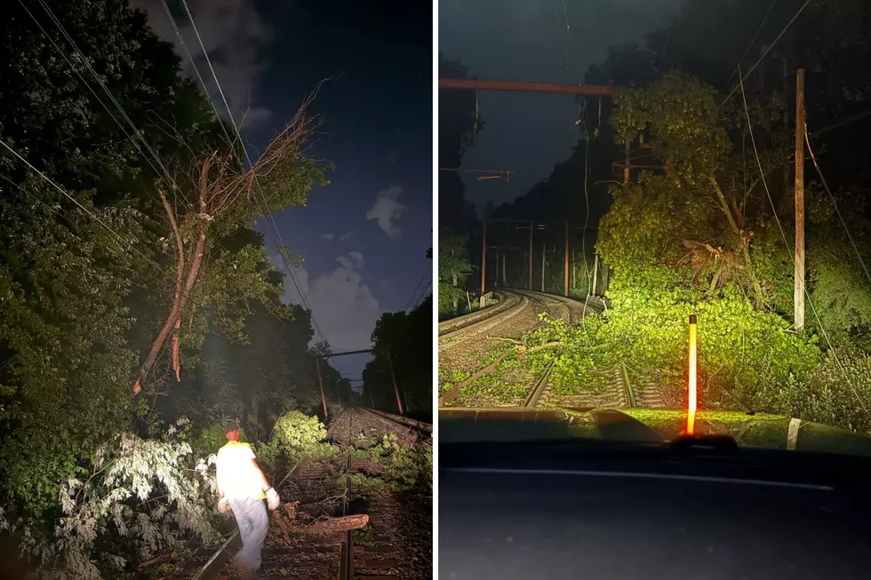 Fallen trees along NJ Transit's Morris & Essex Line Friday, July 3, 2026