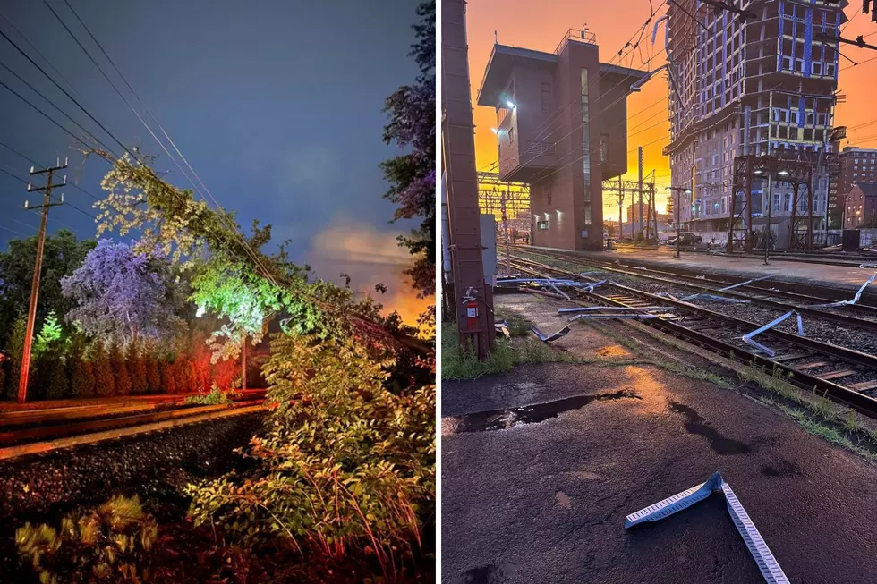 A tree across the wires over NJ Transit tracks in Red Bank (left), debris on the tracks in Hoboken Friday, July 3, 2026