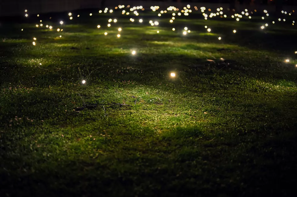Photo by ᛟᛞᚨᛚᚹ on Unsplash