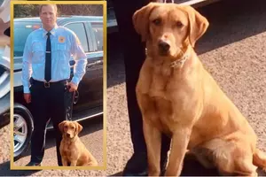 Confusion grows over fate of NJ police dog investigation