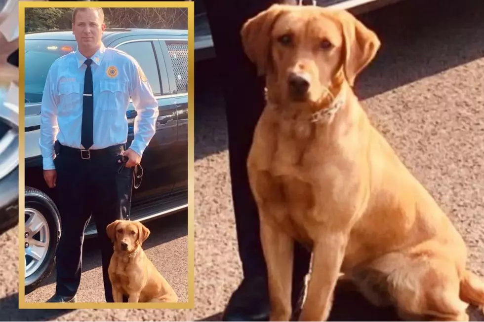 Is the NJ K-9 death case over or not? Officials send conflicting messages