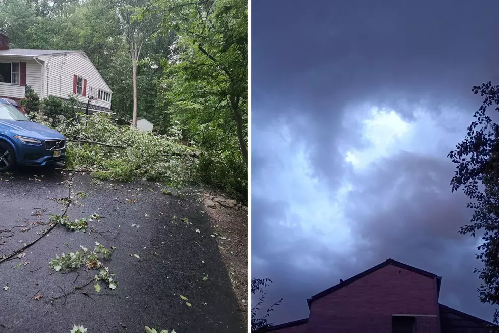 Storm damage in Warren Township (left), Princeton Fri., July 3, 2026