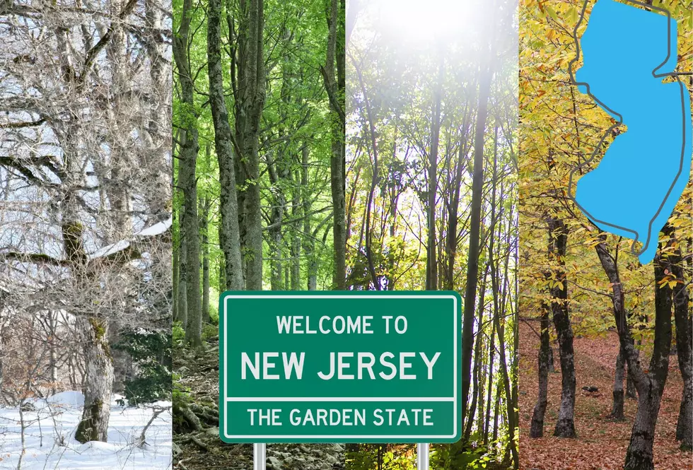 This is NJ’s favorite season, do you agree?