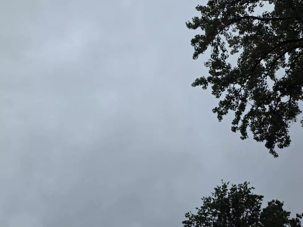 Warm and unsettled, this week’s weather screams ‘typical NJ summer weather’