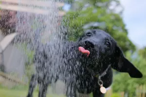 NJ weather: Friday may be the steamiest stormiest day of the week