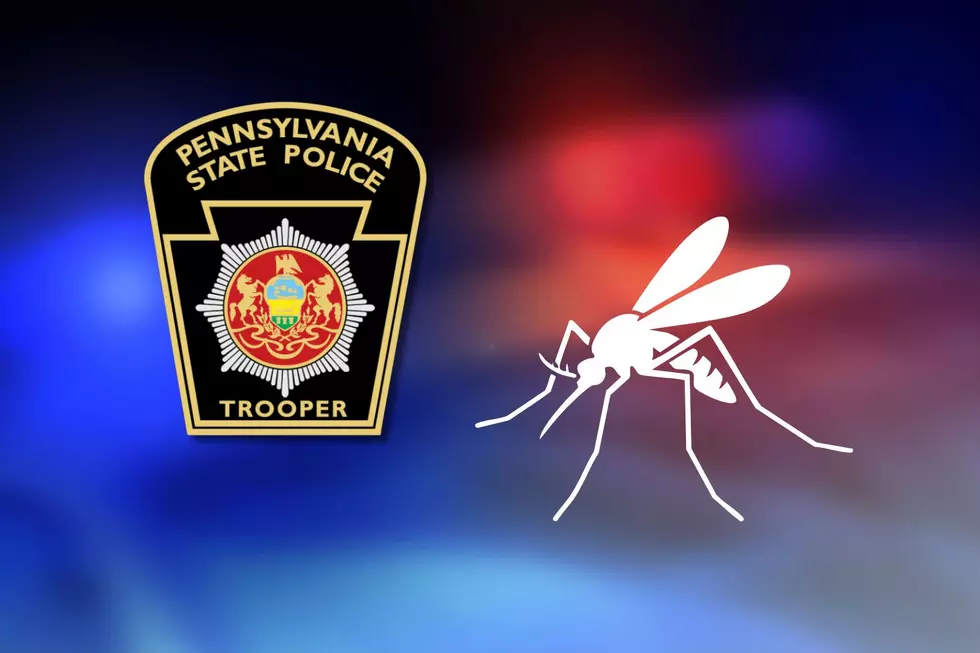 Police: NJ woman says bug flying inside SUV caused PA crash that killed 2 on motorcycle