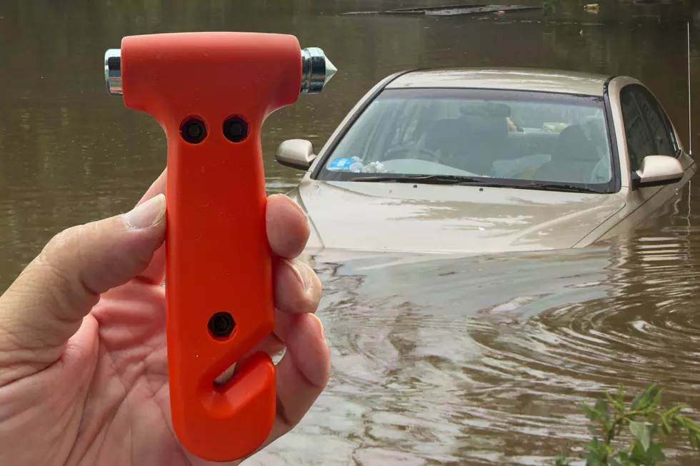 Keeping this in your car this summer can literally save your life