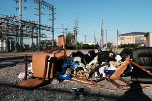 I’ve been fighting litter my whole life — I still don’t understand it