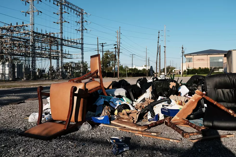 I’ve been fighting litter my whole life — I still don’t understand it