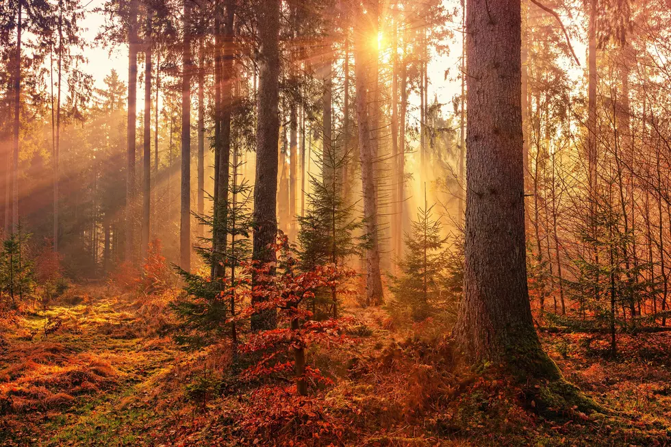 5 reasons to not love NJ Fall