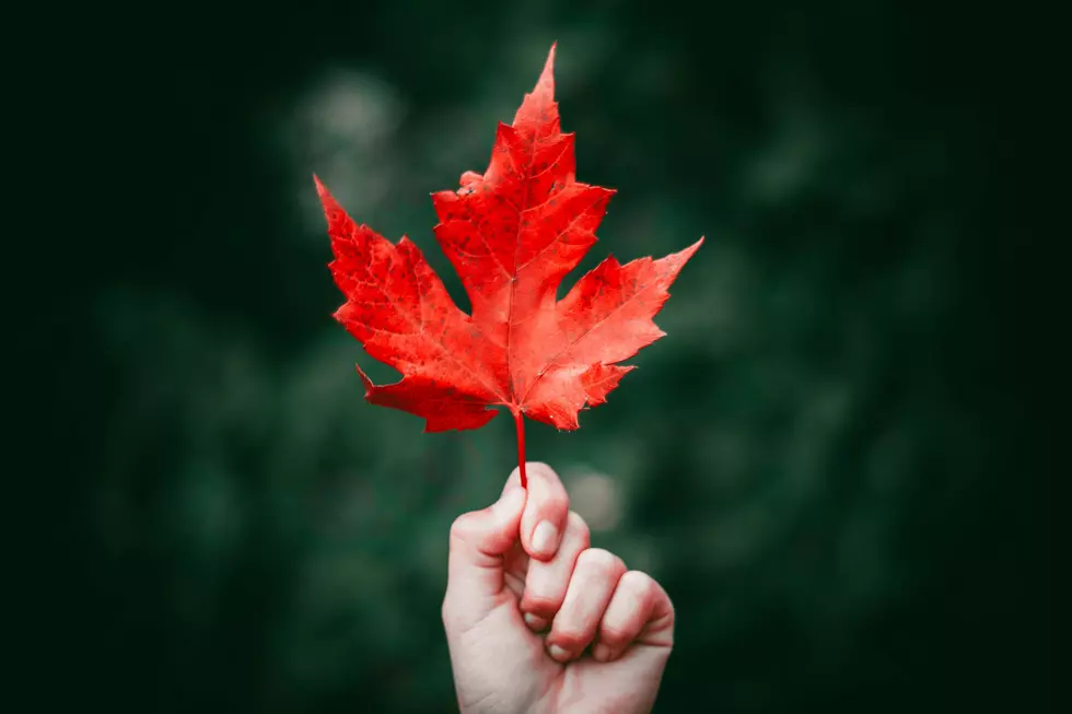 Photo by Nong on Unsplash