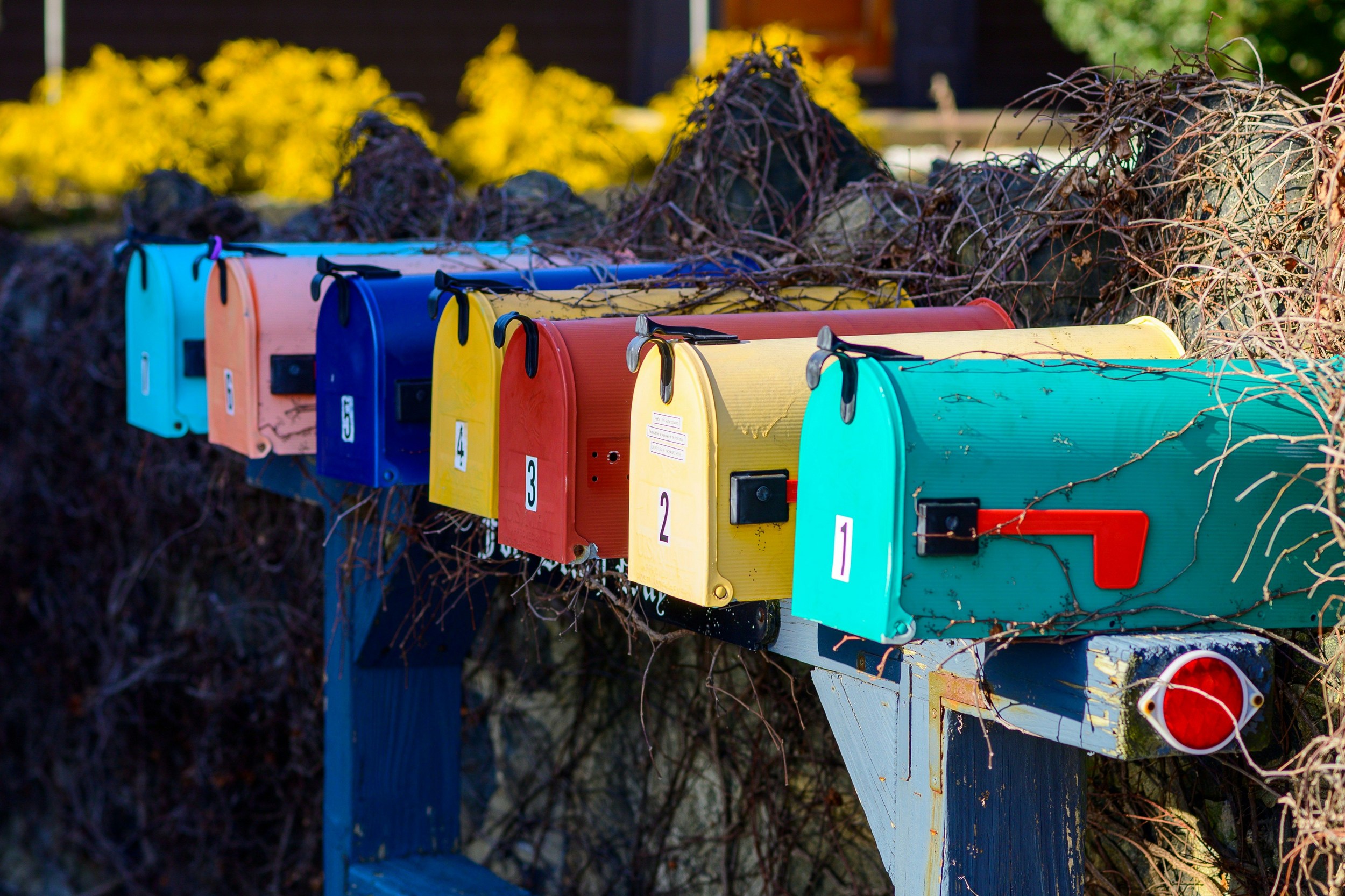 Your ANCHOR letter is landing in NJ mailboxes this month news image