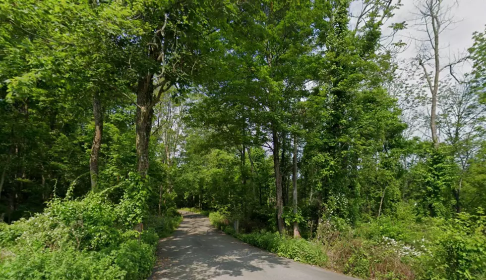 Many roads to nowhere in Frelinghuysen Township | Google Maps
