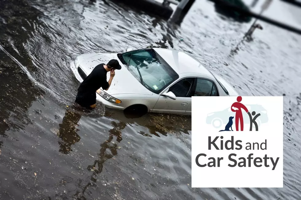 Most Americans don't know how to escape a sinking vehicle, survey shows (Canva/Facebook)