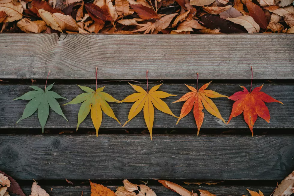 Photo by zero take on Unsplash