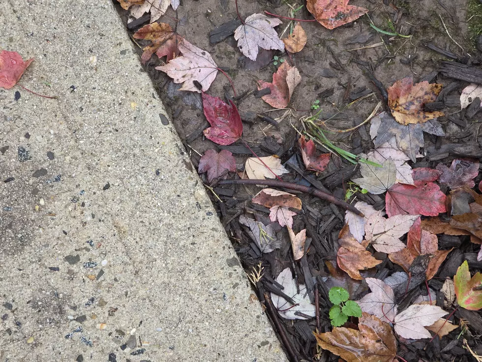 Fall arrives in NJ with rain, wind, and an angry ocean