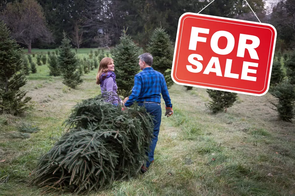 A beloved NJ Christmas tradition is officially for sale