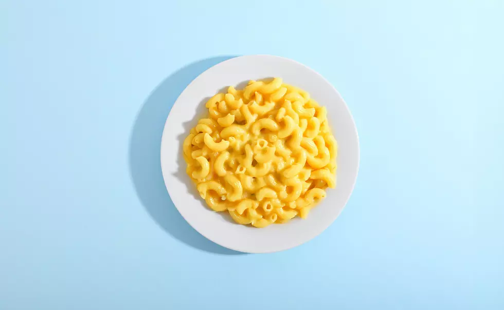 The Red Bank Mac & Cheese Festival is back with a whole lot of deliciousness