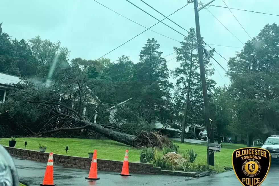 Fallen tree in Gloucester Township Sun., Sept. 27, 2026