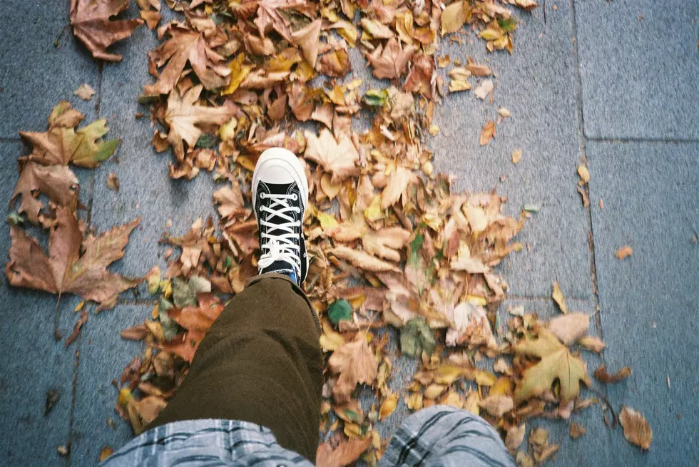 Photo by Ira Komornik on Unsplash