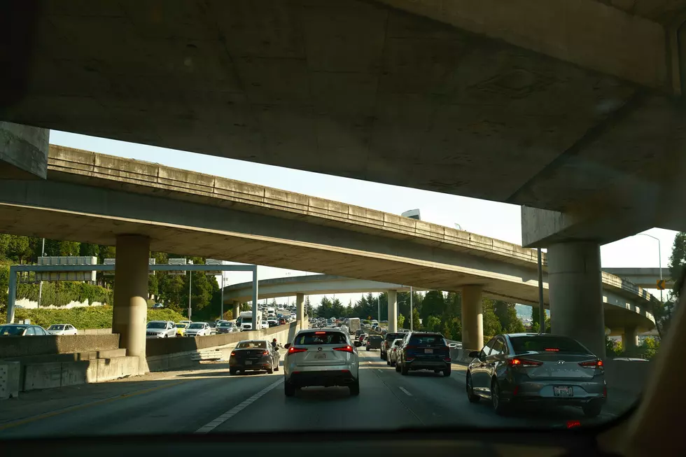 The surprising hazards New Jersey drivers encounter on the road