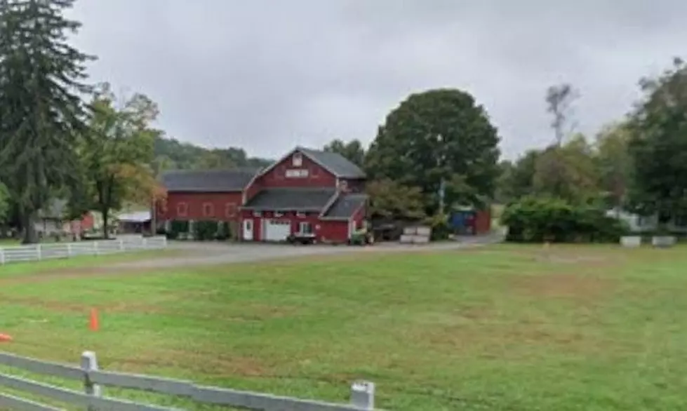This New Jersey farm is a must-visit for fresh apple cider and fall family fun