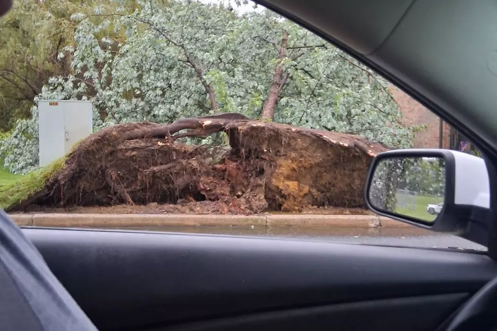 South Jersey town takes a beating as Tuesday storms knock out power, close schools