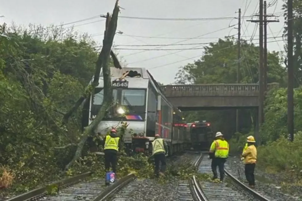 NJ Transit crews clear a tree from the North Jersey Coast Line in Middletown Sun., Sept. 27, 2026