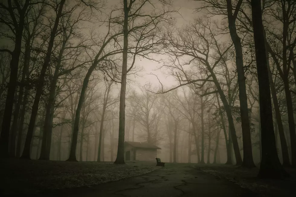 Photo by Rythik on Unsplash