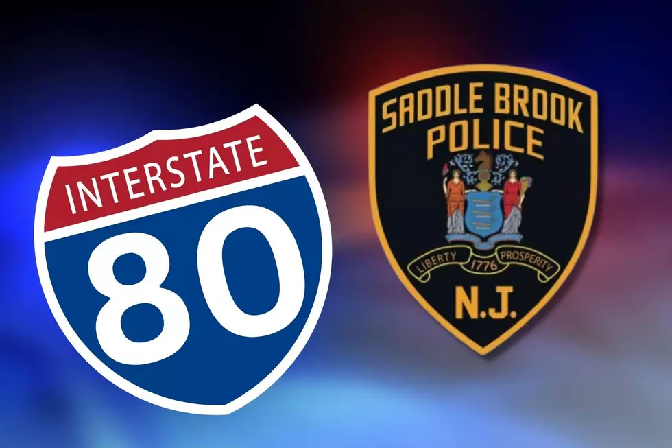 Search on for hit-and-run driver who seriously injured NJ police officer on Route 80