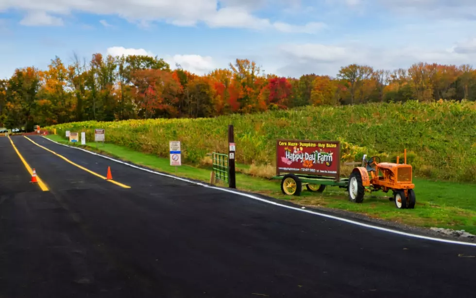 A NJ farm planned a fun Dolly Parton maze. Then it became something else.