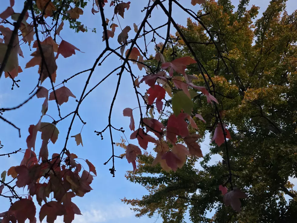One last blast of summer Friday, two rain chances this weekend for NJ