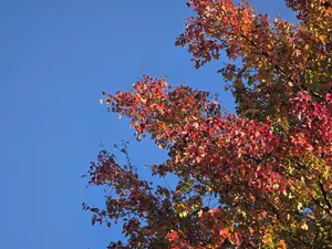 From 80s to 50s: Rounds of showers and a big cooldown ahead for NJ