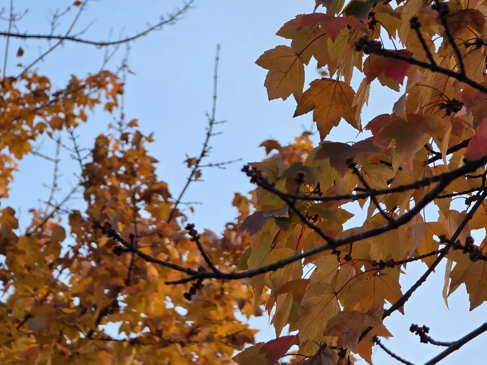 Halloween stays dry, but it will be NJ’s coolest day of the week