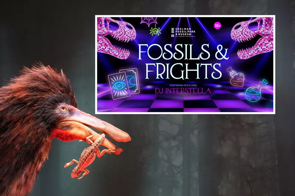 NJ fossil museum hosts Halloween party for adults who love the spooky and strange