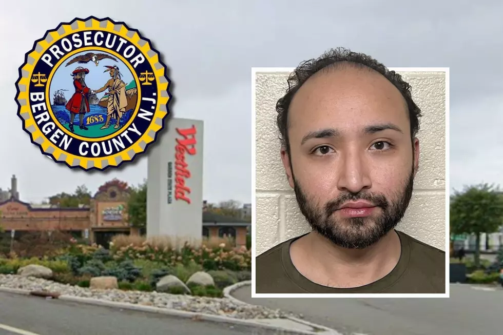 Police: NY driver accused in deadly NJ hit-and-run was drunk