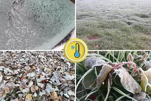 The first frost of fall: Statistics, normals, and this year’s forecast for New Jersey