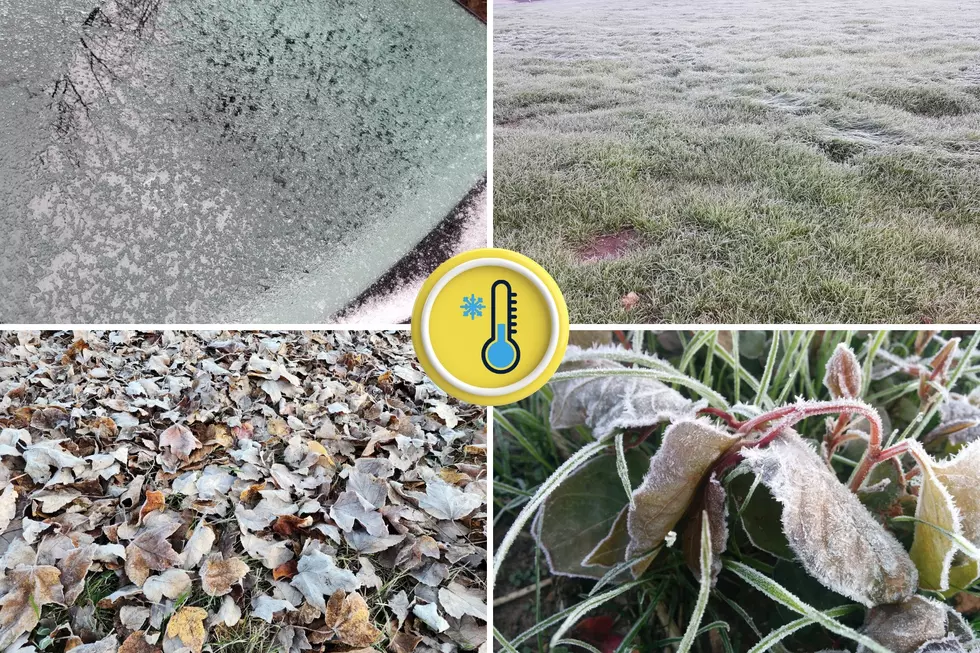 The first frost of fall: Statistics, normals, and this year’s forecast for New Jersey