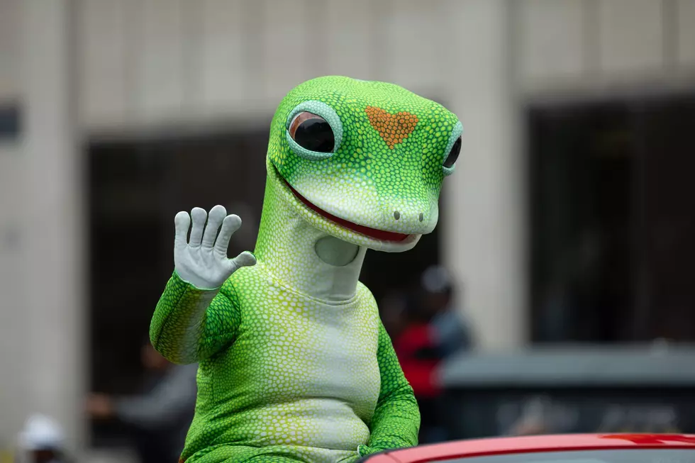 Ice Gecko ICE agents dodge hammer attack in New Jersey