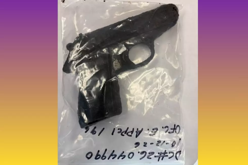 Washington Township (Gloucester County) PD are investigating after two magnet fishers pulled a handgun out of a lake on Monday (WTPD via Facebook)