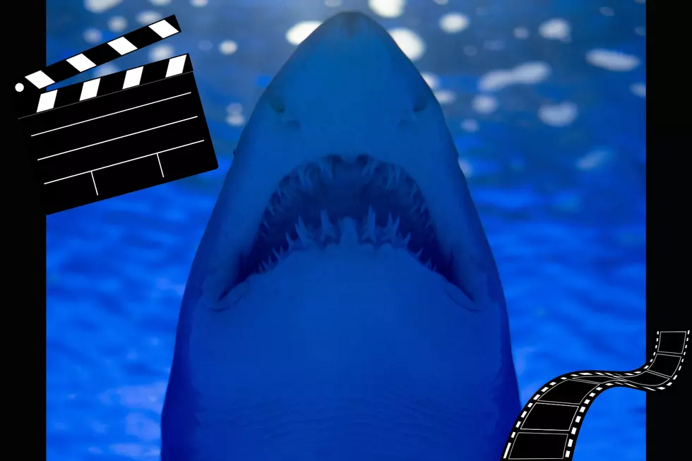 Authentic ‘Jaws’ memorabilia will be auctioned off this month