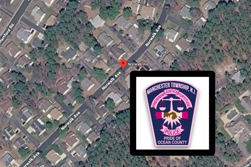 Dog dies after being left inside hot car in Ocean County, police say
