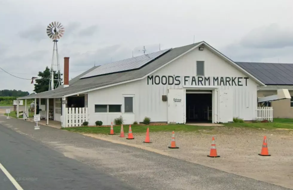 Mood's Farm Market in Elk Township, NJ | Google Maps