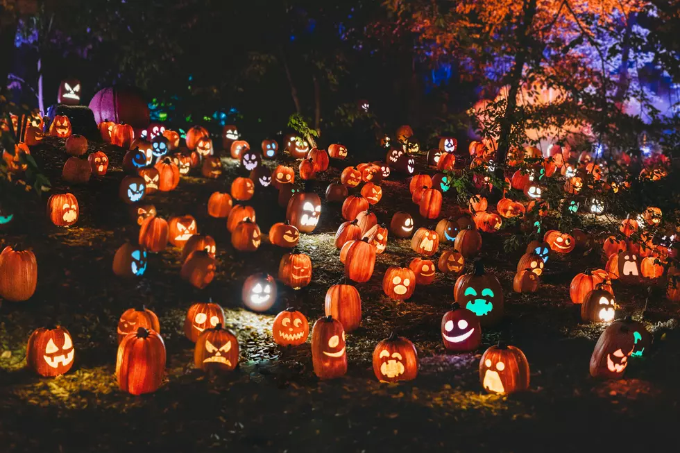 Study – How Halloween-Obsessed is New Jersey