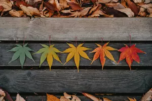 New Jersey’s favorite season revealed in new 2026 survey