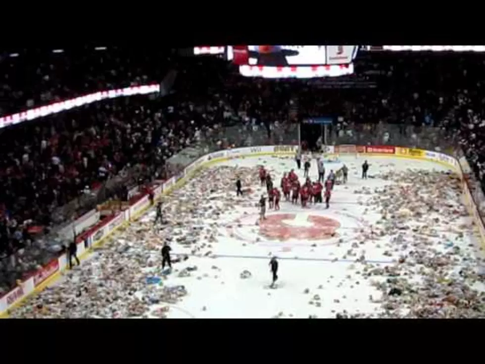 Holy Teddy Bear Toss