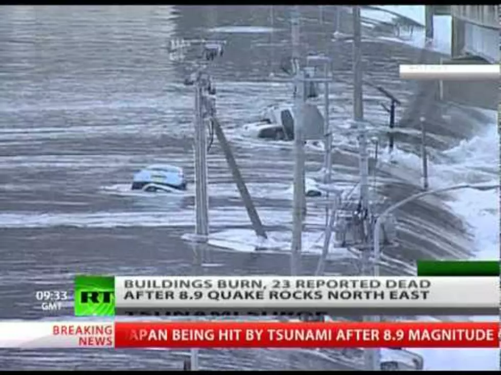 Tsunami Devastation [Video]