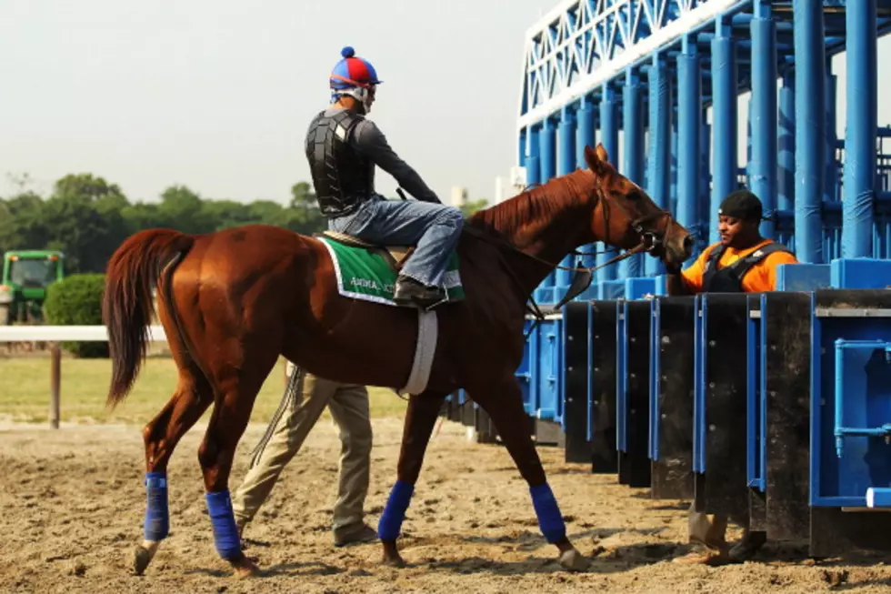 The Belmont Stakes Race &#8211; Greg McShea&#8217;s Pony Preview