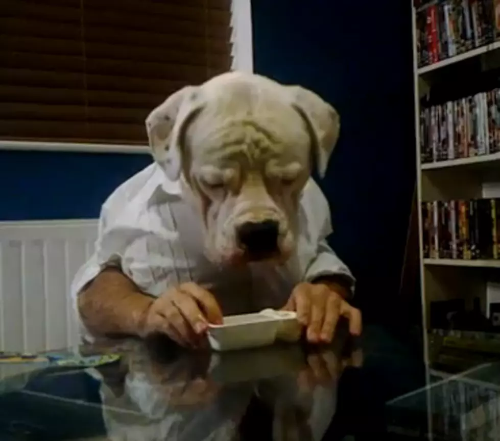 Dog Eating With Its Hands [VIDEO]